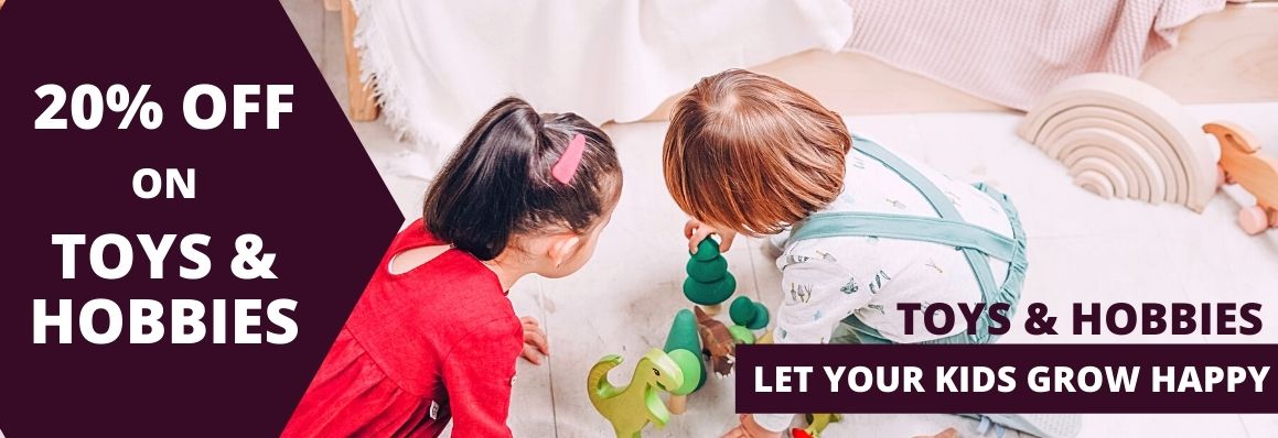 20% Off on Toys and Hobbies